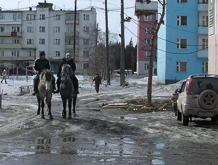 Лошади в центре Ленска