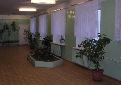 Зеленый уголок на втором этаже. Школа №1 города Ленска. 2006 год
